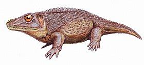 Cochleosauridae - Wikipedia