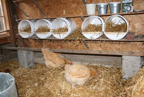 Diy Nest Boxes For Chickens