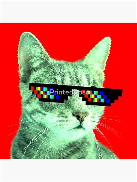 Deal With It Cat Glasses Meme Poster By Printedrose Redbubble