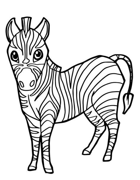 Desenhos De Zebra Para Colorir Pintar E Imprimir ColorirOnline