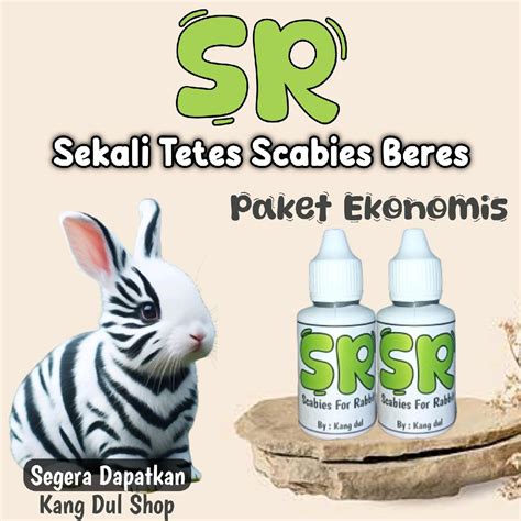 cara mengobati scabies pada kucing secara alami 4
