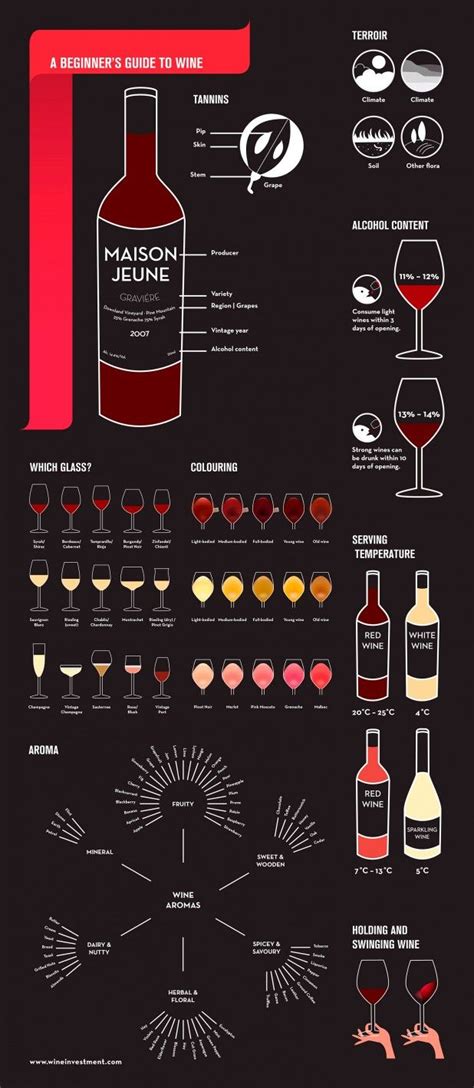 Mens Basics A Beginner`s Guide To Wine Infographic Including Wine