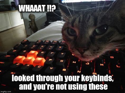 25 Best Memes About Mechanical Keyboard Mechanical Keyboard Memes Images