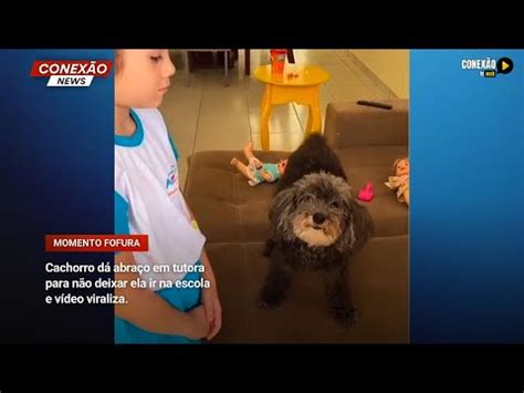 V Deo Cachorro D Abra O Em Tutora Para N O Deixar Ela Ir Na Escola E