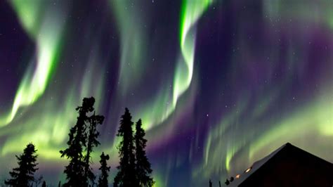 Aurora in Fairbanks & Beyond | Travel Alaska