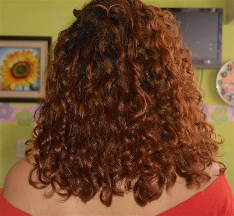 Curly Hair Growth Progress April 26 2014 Curly Hair Growth Hair