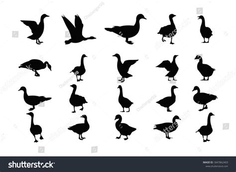 3,612 Duck Silhouette Family Images, Stock Photos & Vectors | Shutterstock