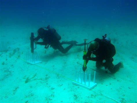 Conservationists clash over coral reefs