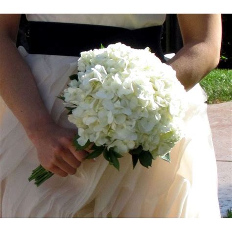 hydrangea wedding package  bloomin basket florist