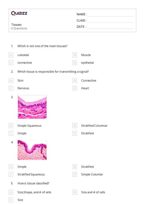 Tissues Worksheets For Th Grade On Quizizz Free Printable