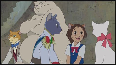 The Cat Returns - Studio Ghibli Image (25665040) - Fanpop