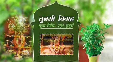 Tulsi Vivah Puja Vidhi In Hindi पूरे विधि विधान से करें तुलसी पूजन