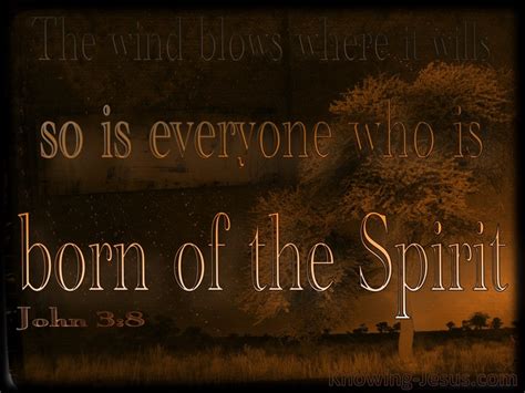 8 Bible Verses About God In The Wind