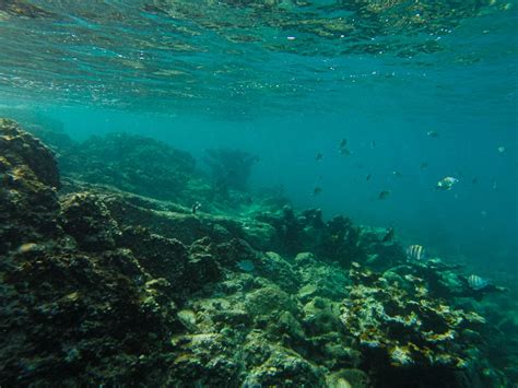 Best Snorkeling Spots in Virgin Islands National Park, St. John - The ...