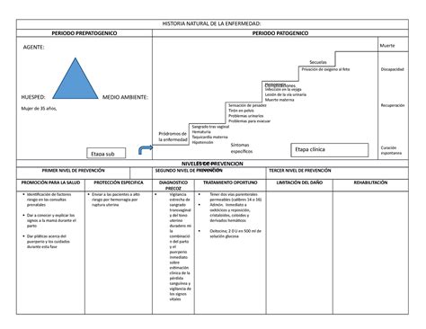 Historia Natural De Una Enfermedad