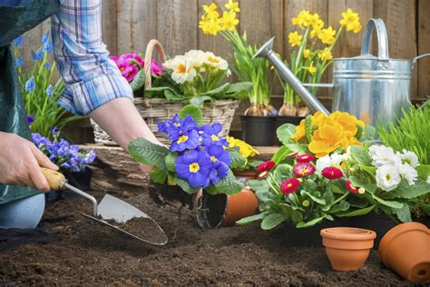 A Guide To Gardening During The Early Spring Season :: YardYum - Garden ...