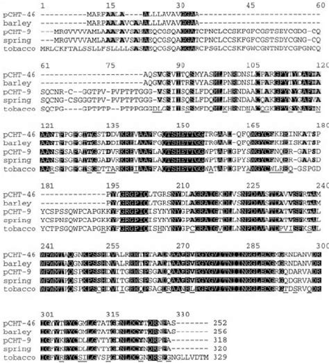 Multiple Sequence Alignment Of Amino Acid Sequences For Chitinases From