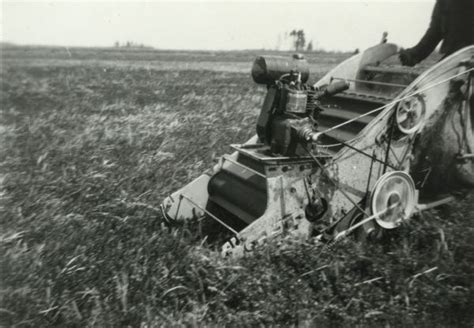 Cranberry Picker Photograph Wisconsin Historical Society