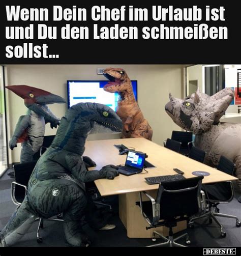 Chef Im Urlaub Bilder Lustig Kostenlos DEBESTE De