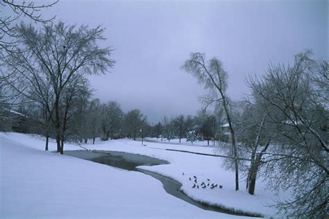 Pei-Chun Lin's Homepage - Gallery - Four Seasons in Ann Arbor - Winter