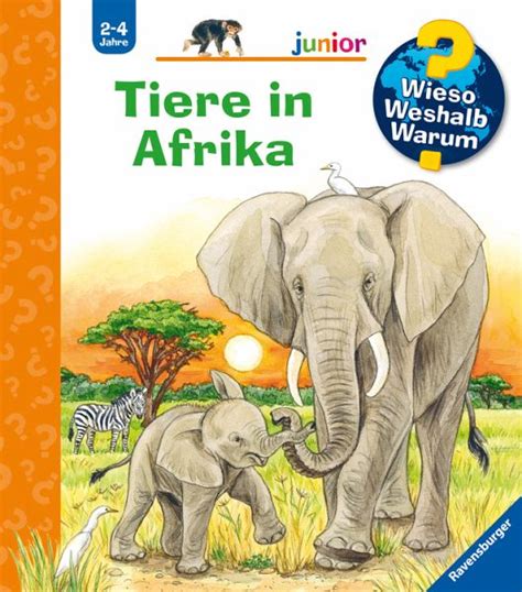 Tiere In Afrika Wieso Weshalb Warum Junior Bd 50 Von Daniela