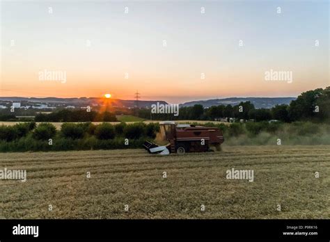 Aerial View Of A Combine Harvester Harvesting An Oats Crop At Sunset