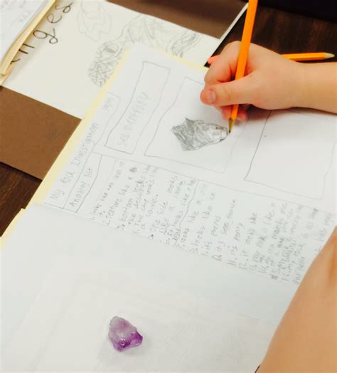 Literacy Loves Company: Integrating Art in the Science Classroom