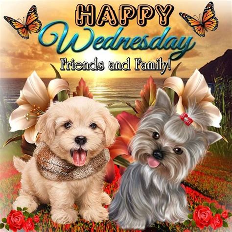 Puppy Happy Wednesday, Friends And Family wednesday wednesday quotes ...