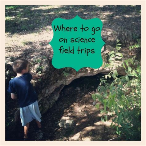 Planning Field Trips for Science - The Homeschool Village