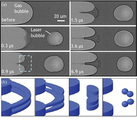 Figure 1 From Bubble Pinch Off And Breakup Due To Instability In Micro