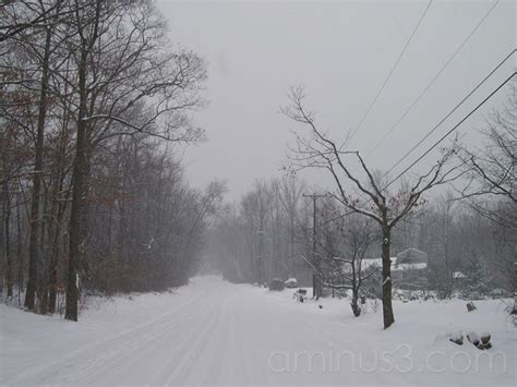 Swamp Road Landscape And Rural Photos The Country Side Of New Jersey