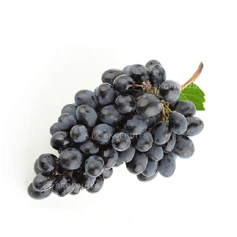 Adora Black Seedless Grapes 1kg Skcfruits Sg Delivery