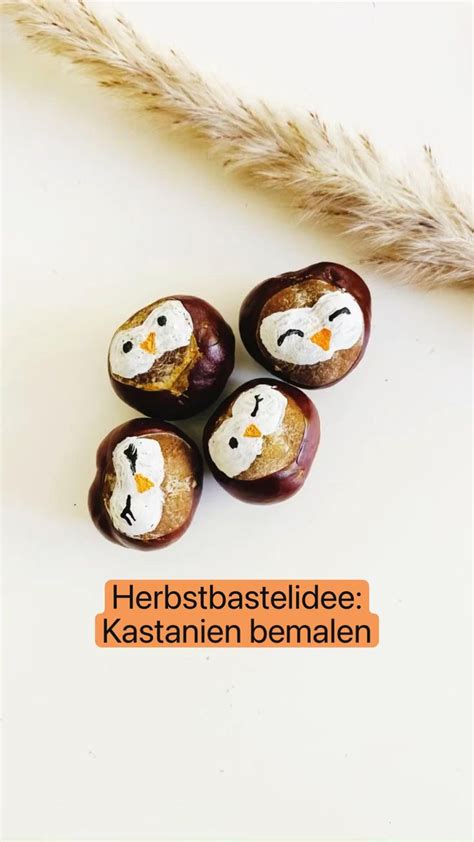 Herbstbastelidee Kastanien Bemalen Tiere Aus Kastanien Eulen Bastel