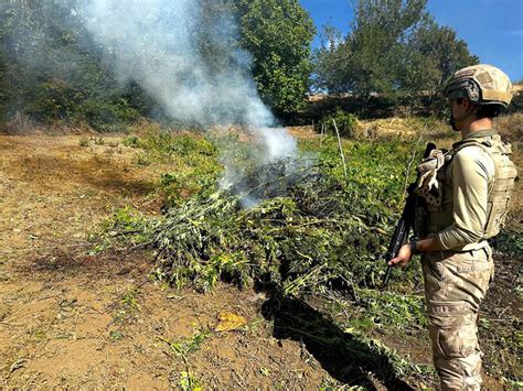 Diyarbakır da 864 kilo 800 gram esrar ve 2 milyon 33 bin 815 kök