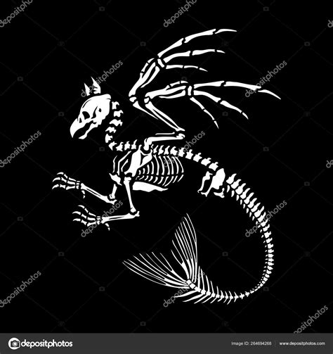 Mermaid Tail Anatomy