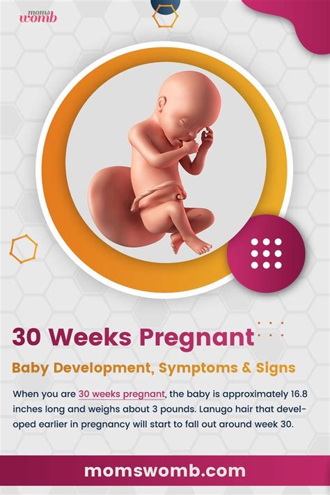 30 weeks pregnant baby – Artofit