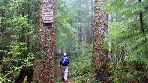 These 5 hikes are hidden in Oregon's remote coastal rainforest