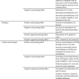 Sequence Of Processes Inducing Real Rpe And Apparent Ape Priming