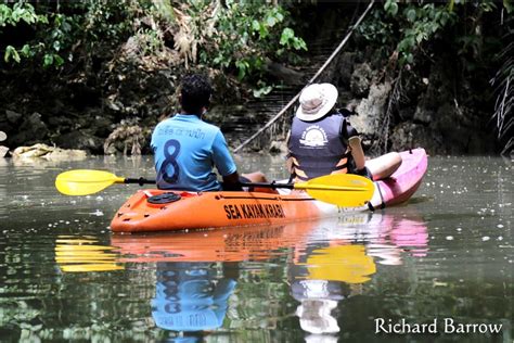 Richard Barrow In Thailand On Twitter Kayaking Through A Mangrove