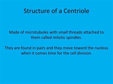 Ppt Centrioles Powerpoint Presentation Free Download Id2853548