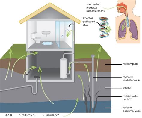 Jak prostupuje radon konstrukcí objektu a jaký má vliv na vaše zdraví