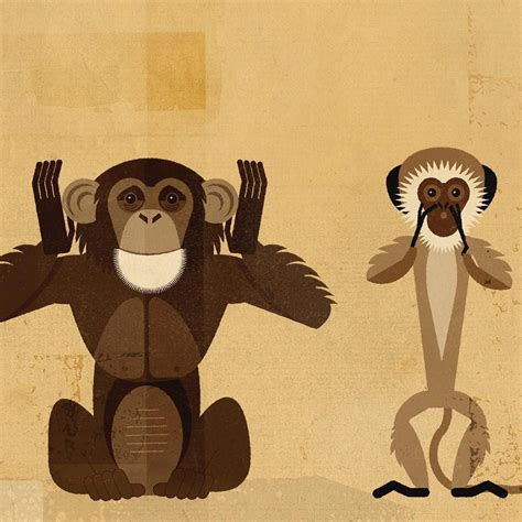 Dieter Braun Illustration Animal Illustration Illustration Illustrators