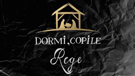 Ada Andrei Buliga Dormi Copile Rege Official Lyric Video YouTube