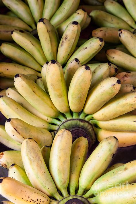 Bunch Of Ripe Bananas Background Photograph By Frank Bach Fine Art