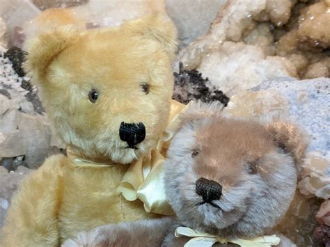 1950s 1960s Gold Caramel Vintage Steiff Original Teddy Bears