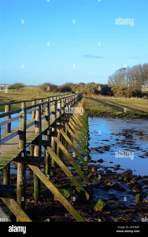 Aberlady nature reserve hi-res stock photography and images - Alamy