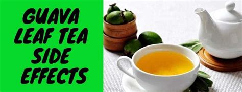 Guava leaf tea benefits and side effects you should know about - Legit.ng