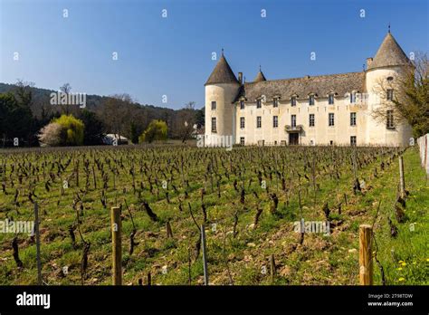 Savigny Les Beaune Castle Chateau De Savigny Les Beaune Cote De