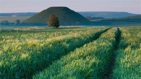 luxury cottages calne boutique  catering  calne