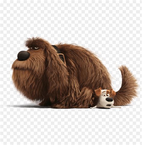 Max And Duke Secret Life Of Pets Fun Book Png Transparent With Clear